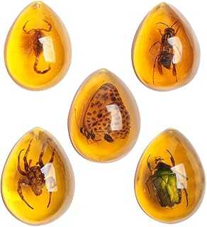 Acxico 5pcs Amber Fossil with Insects Samples Stones Crystal Specimens Home Decorations Collection Oval Pendant (Green Armor + Scorpion + Flower Butterfly + Wasp + Spider)