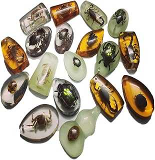 BOSOIRSOU Insect Fossil Pendants - 18pcs, Different Insect Specimen, Bug Preserved in Resin, Kids Educational Toy and Scientific Amber Collections - Random Patterns