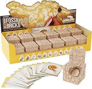 Dig a Dozen Fossil Bricks - Break Open 12 Blocks and Discover 12 Unique Real Fossils - Basket Stuffers Archaeology Science STEM - Birthday Gift